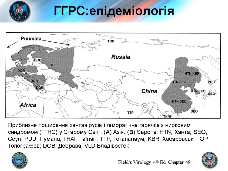 ГГРС:епідеміологія Приблизне поширення хантавірусів і геморагічна гарячка з нирковим синдромом (ГГНС) у Старому Світі.